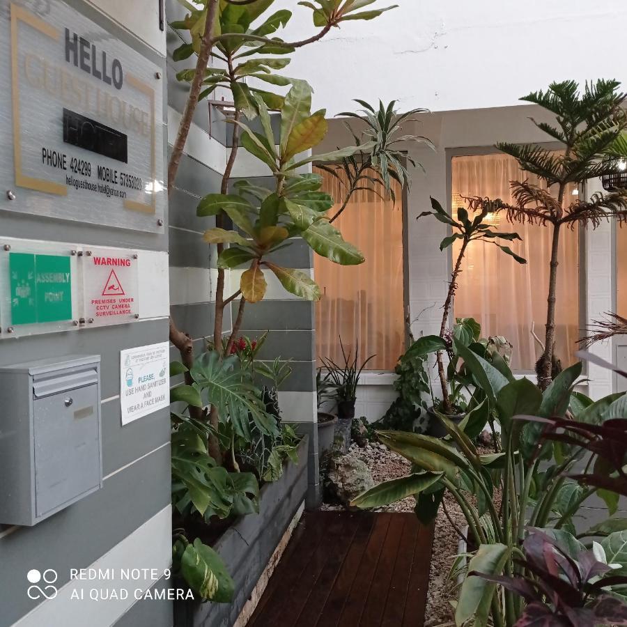 קואטרה בורנס Hello Guest House מראה חיצוני תמונה